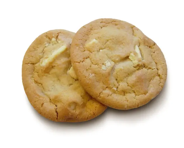 google s alternatief voor cookies adid