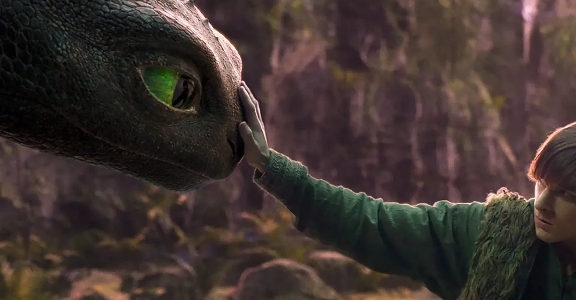 how to train your dragon
