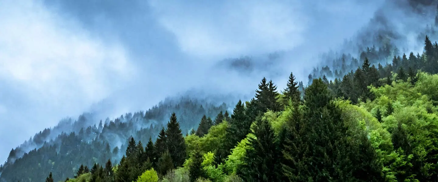 klimaatverandering pinterest