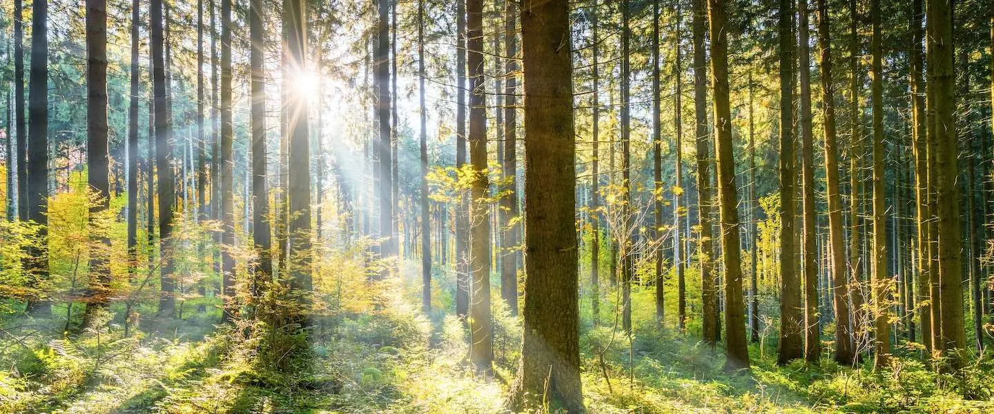 lente nederland 1