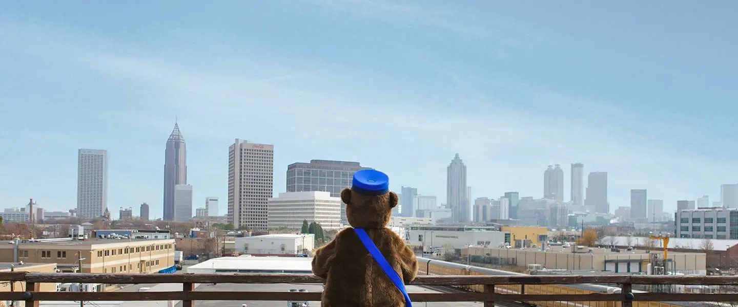 mailchimp succes