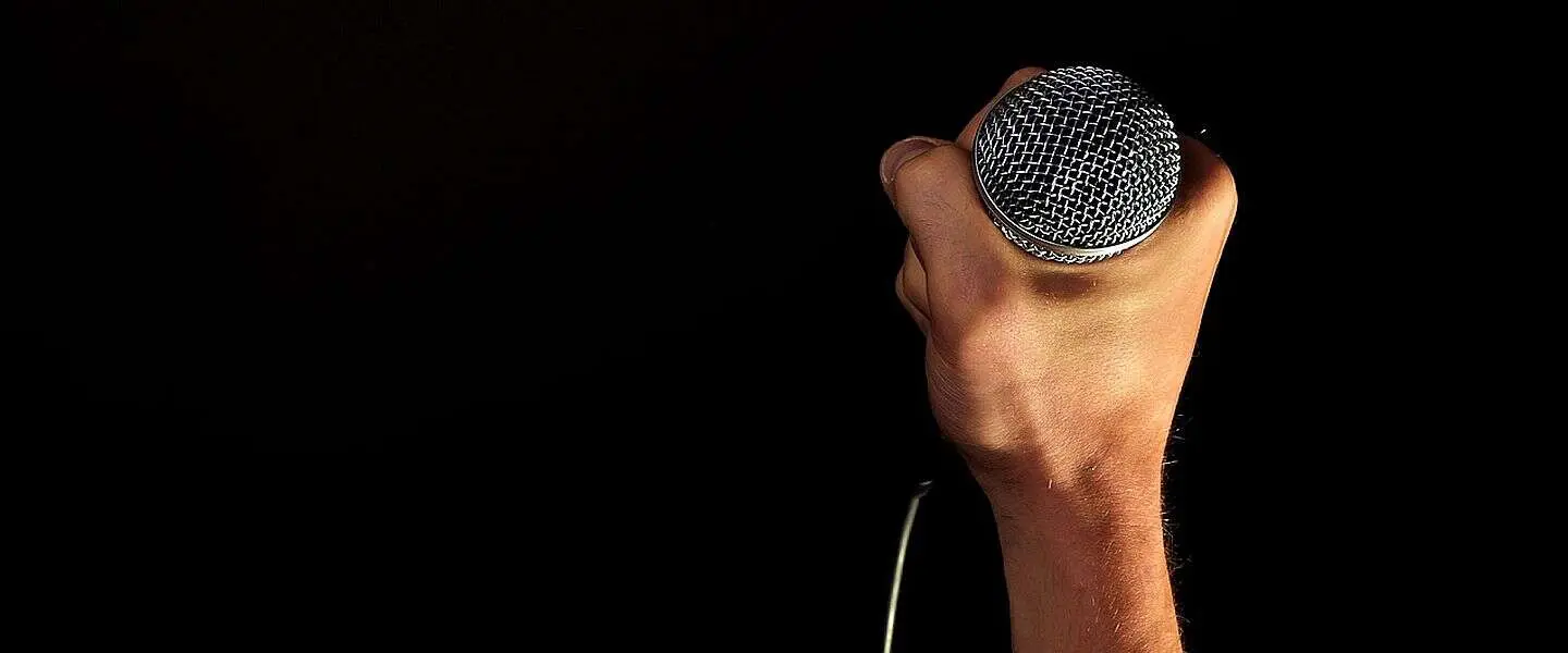microphone 2