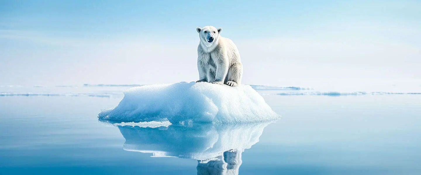 Jongeren zien regelmatig misinformatie over het klimaat op TikTok