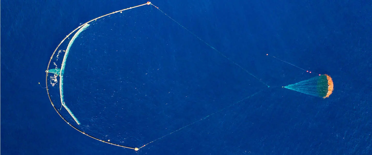 ocean cleanup