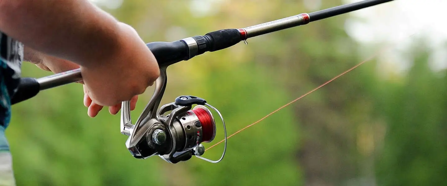 phishing