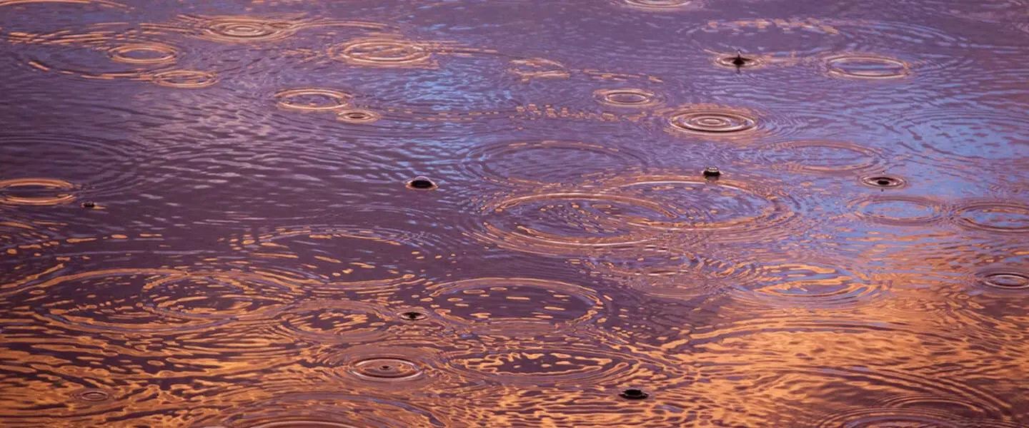 regen