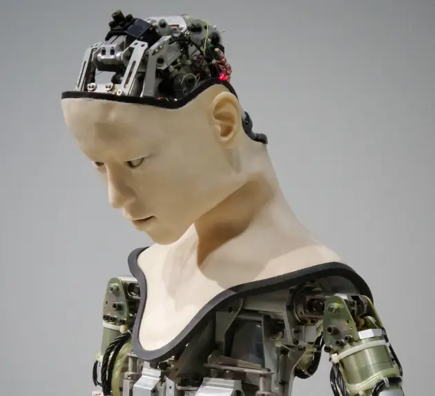 Deze 5 robots zijn nu in Nederlandse bedrijven aan het werk