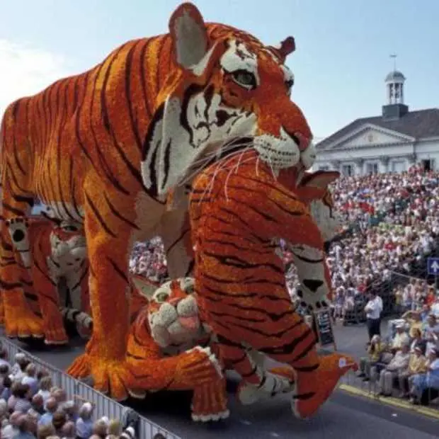 sociale mediahype bloemencorso zundert b