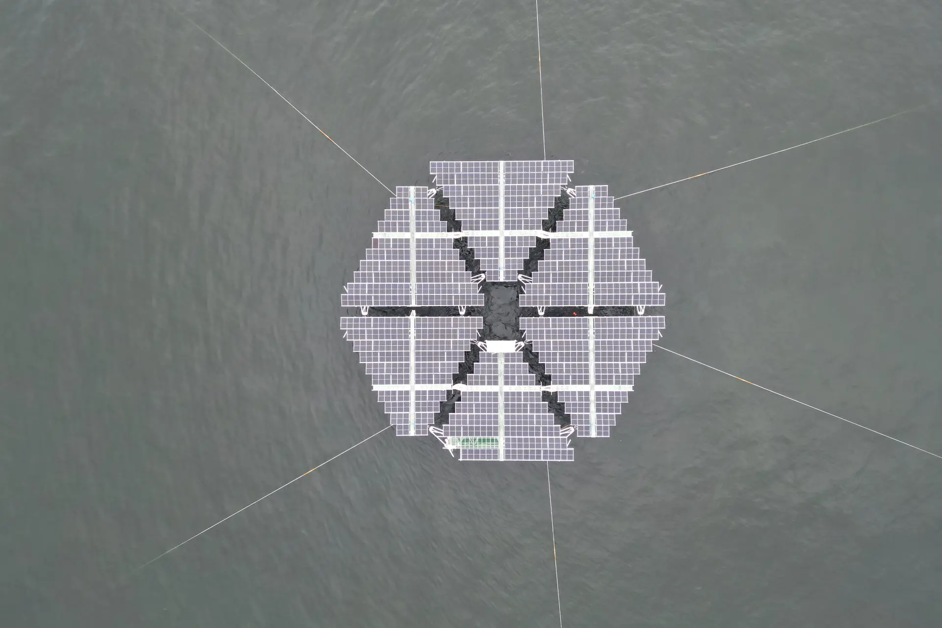 Merganser: een Offshore Floating Solar platform in de Noordzee