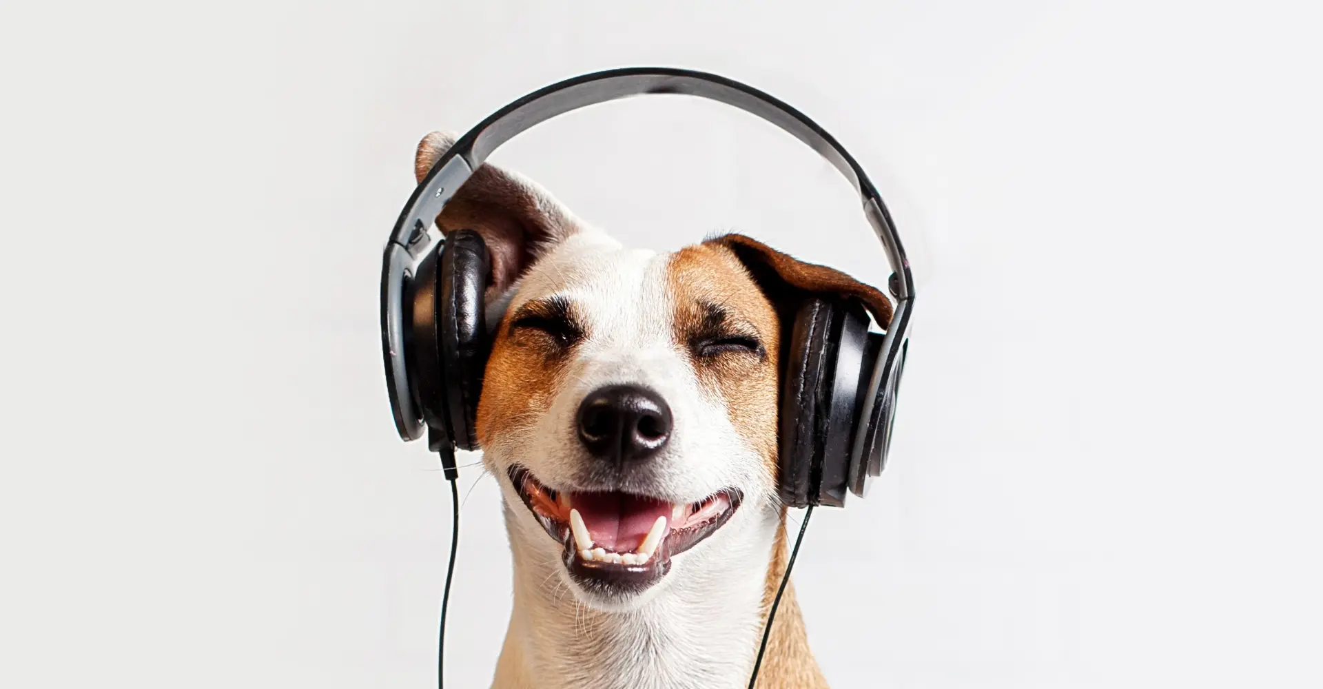Spotify test manier om sneller nieuwe muziek te ontdekken