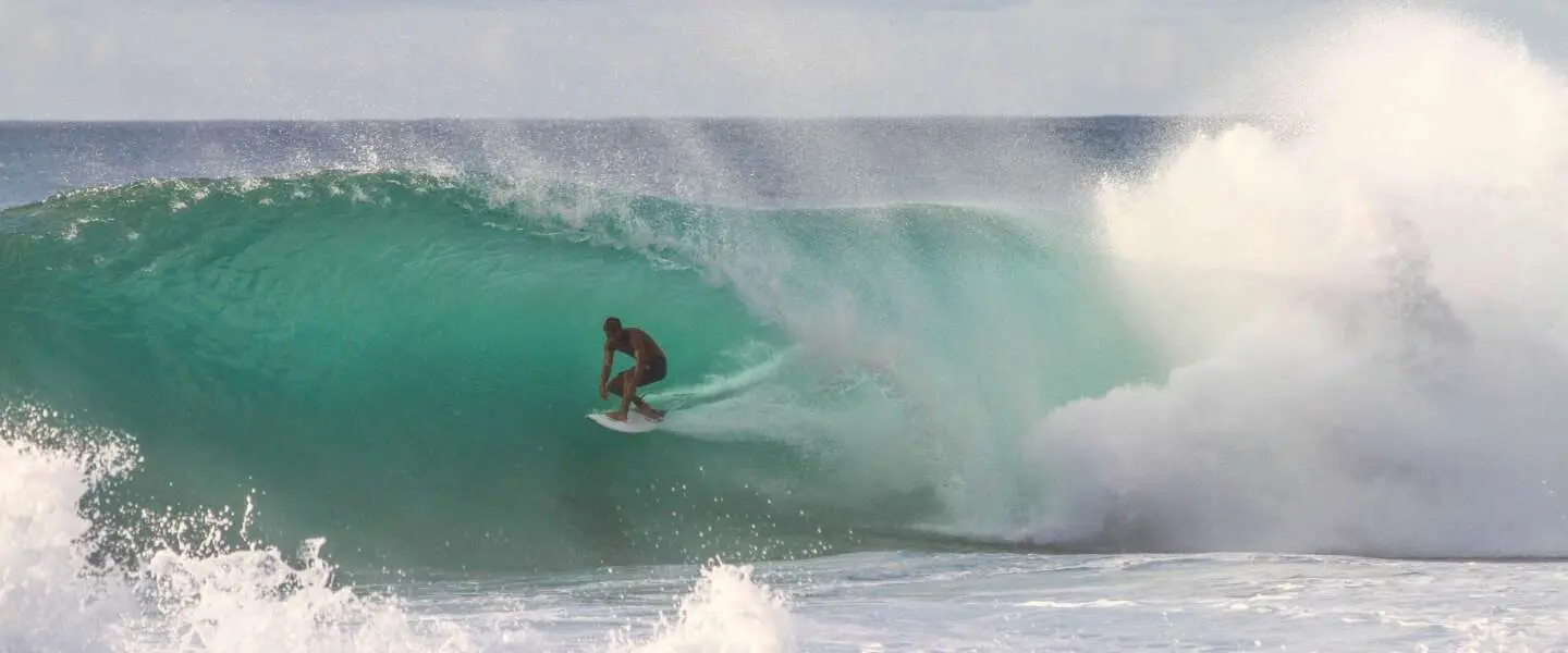 surfing