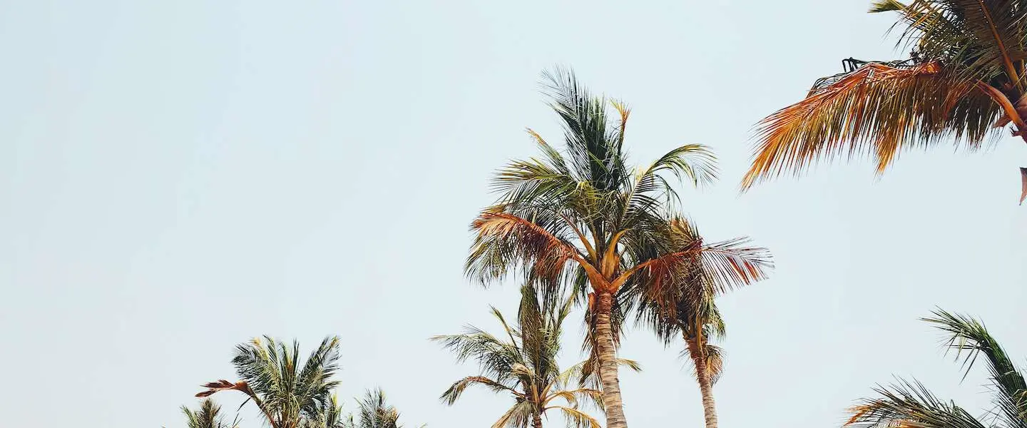 versoepelingen zomer 2021