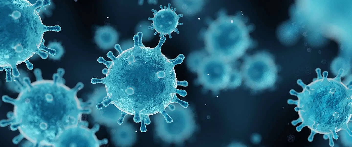 virusinfectie