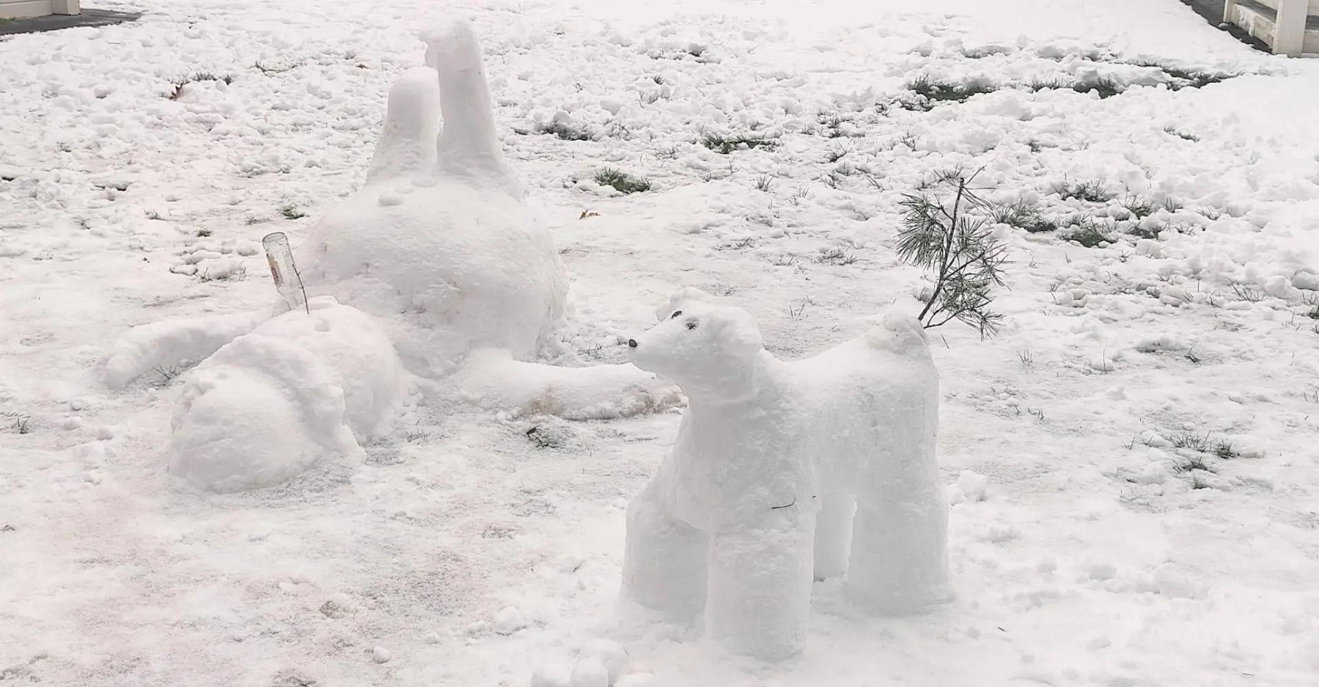 Winterweer in Nederland: de leukste tweets en tips
