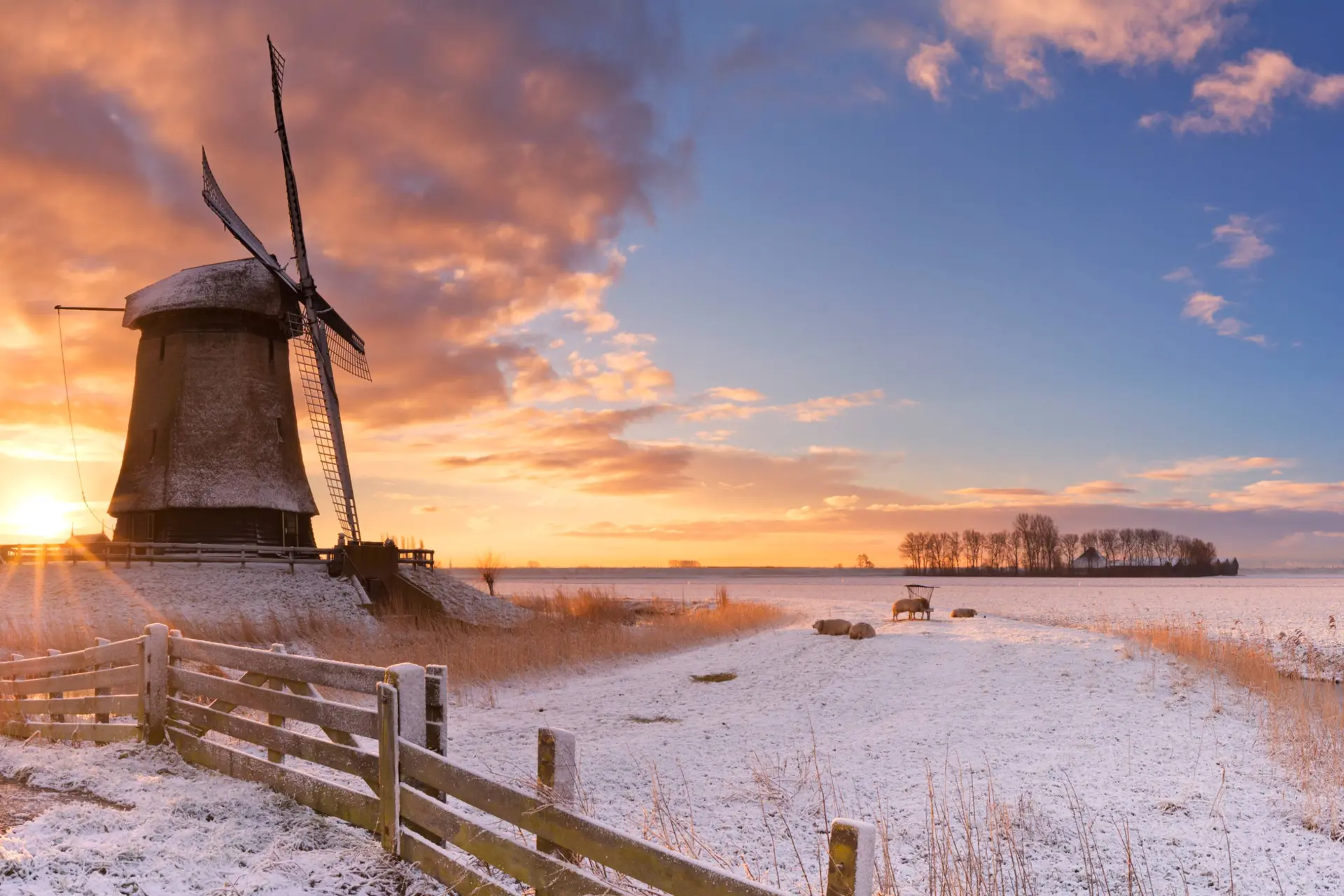sneeuw nederland