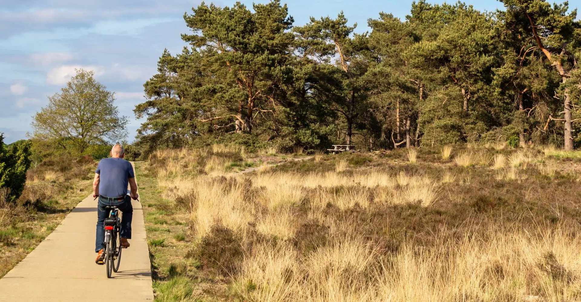 Veluwe