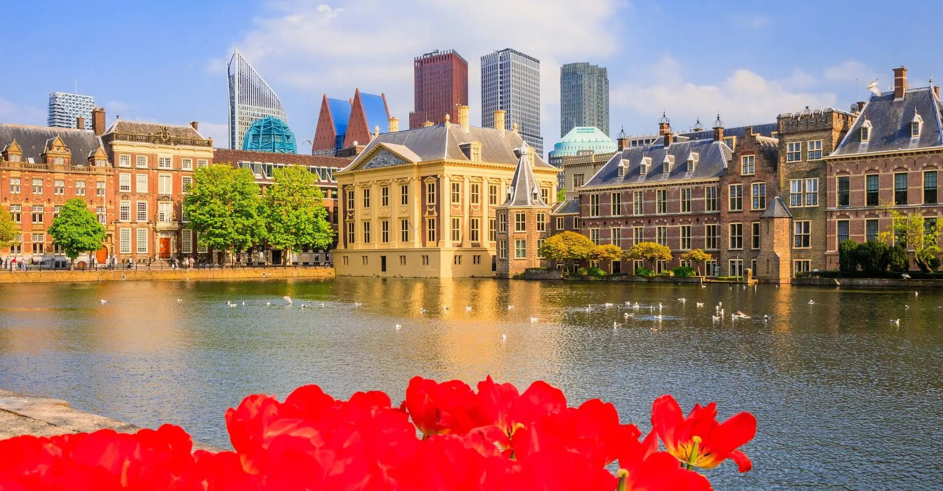 Den haag
