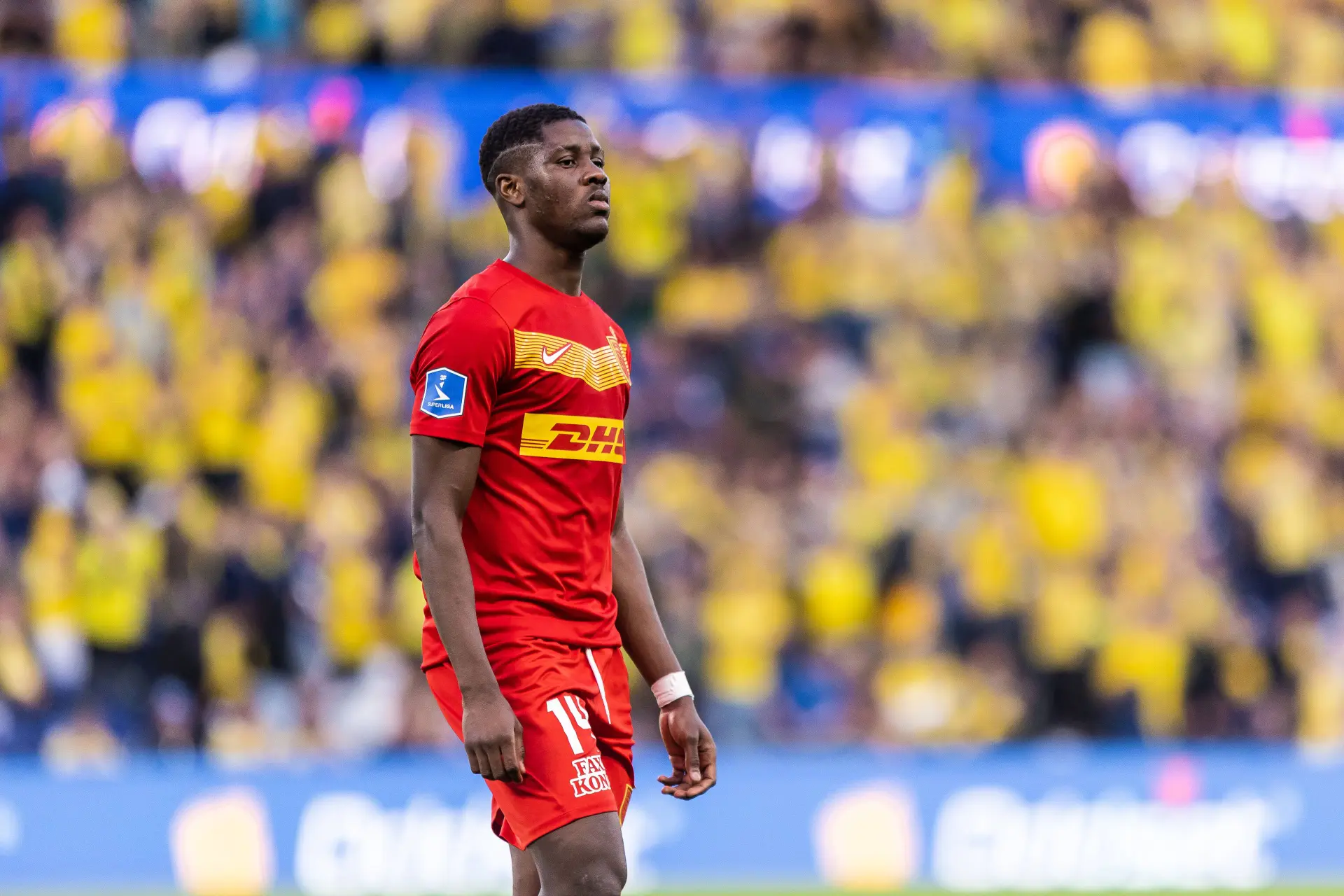 66988975 bsr agency