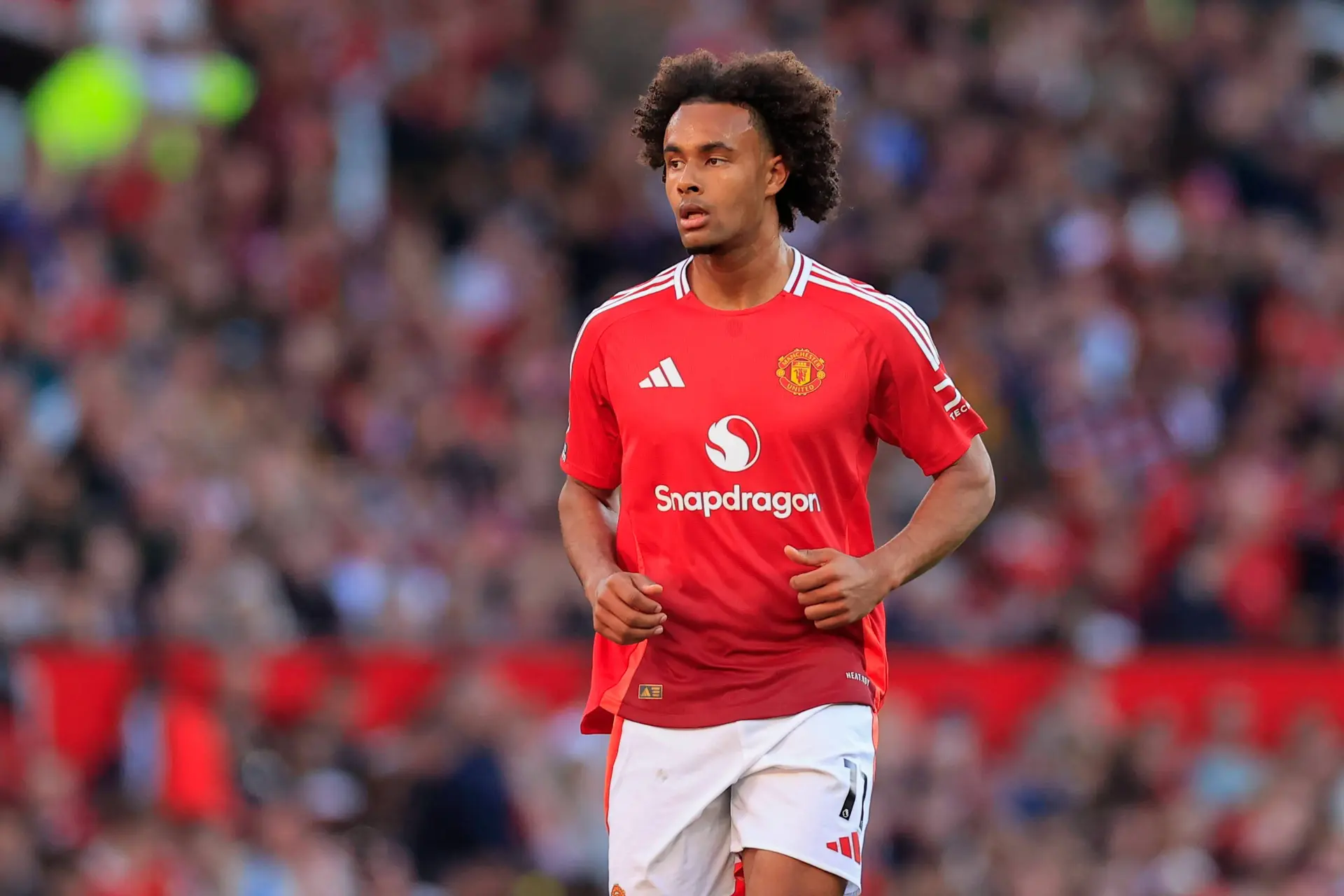 Manchester United in de markt voor grote concurrent voor Joshua Zirkzee