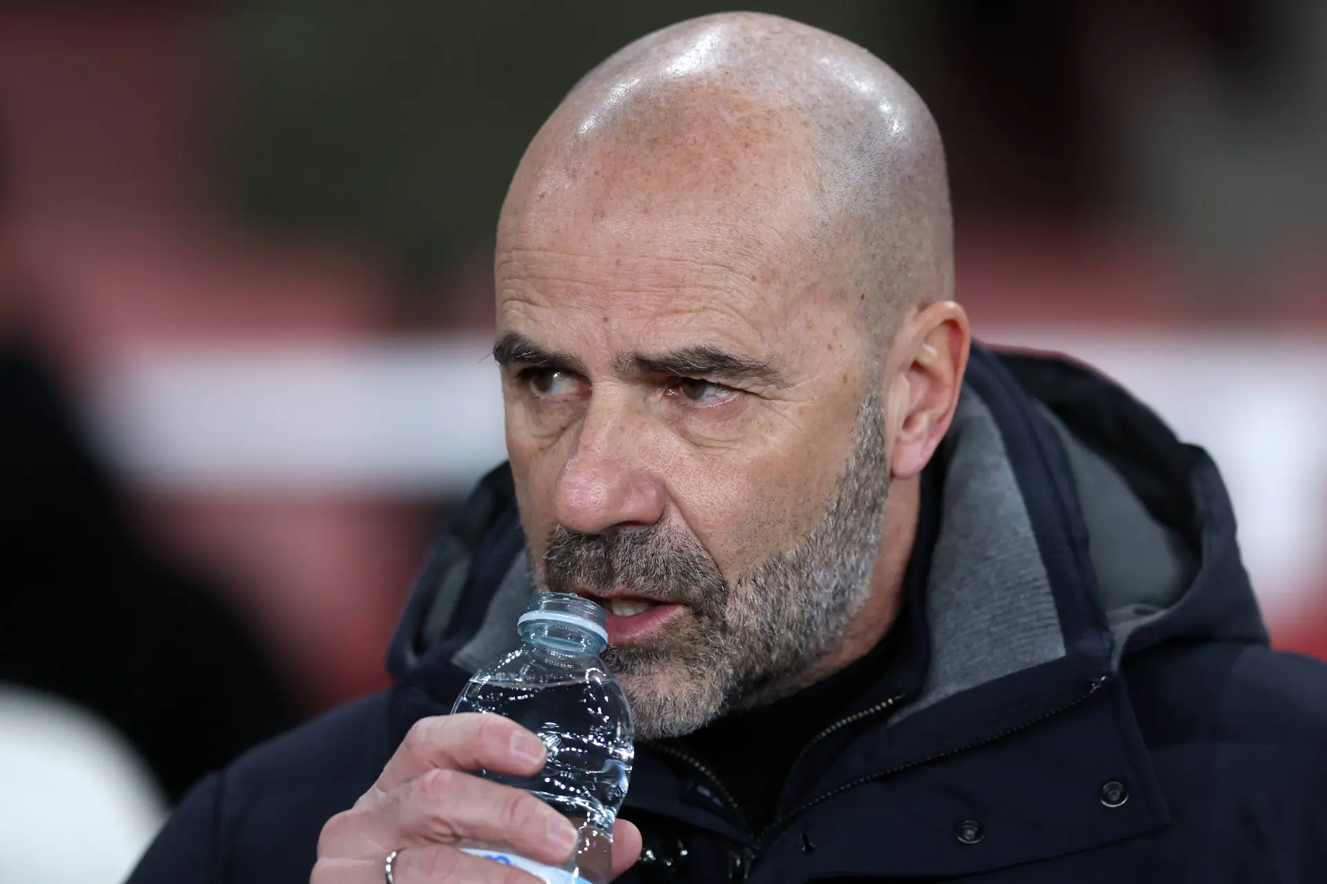 peter bosz psv