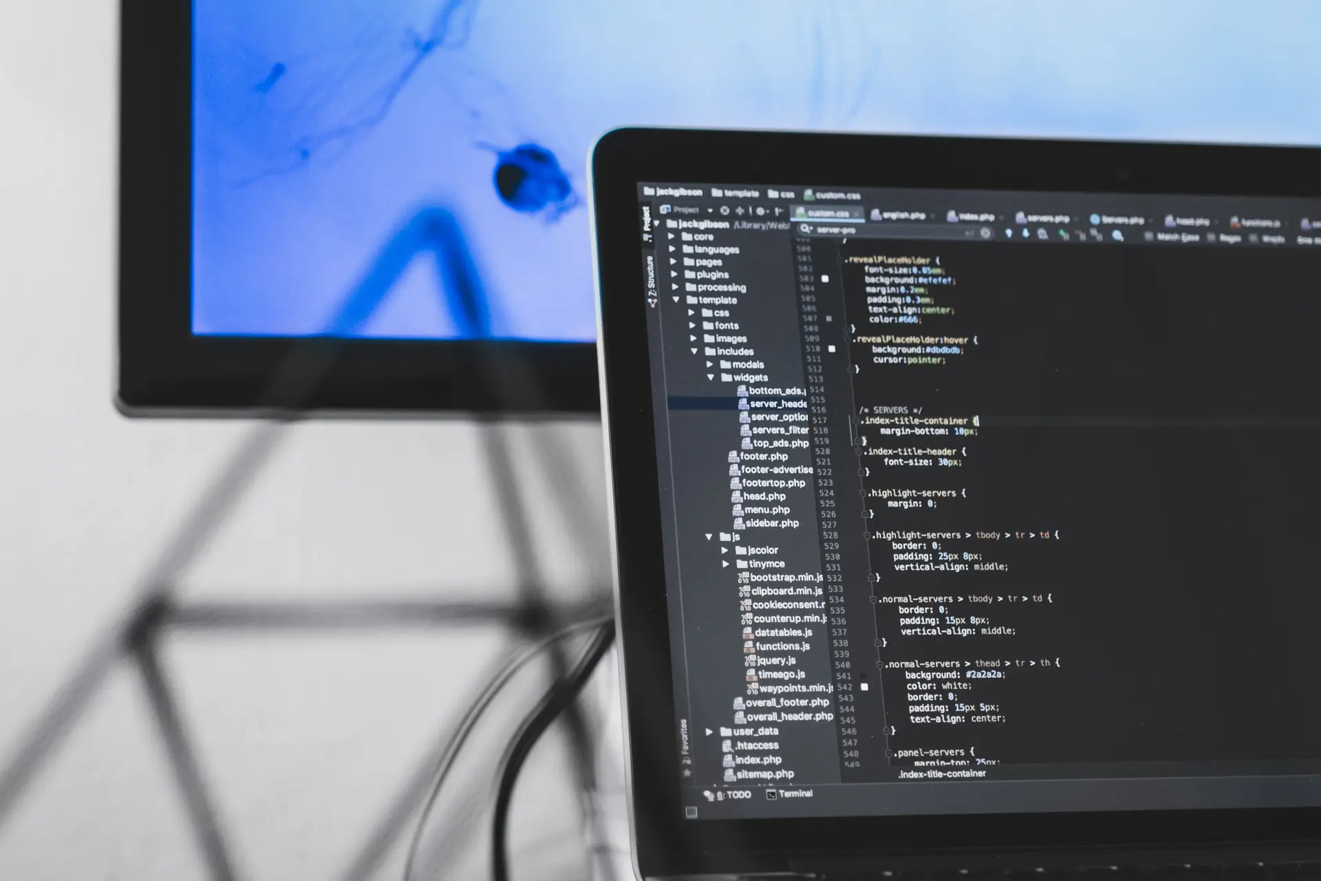 altumcode fppwhfn6eis unsplash