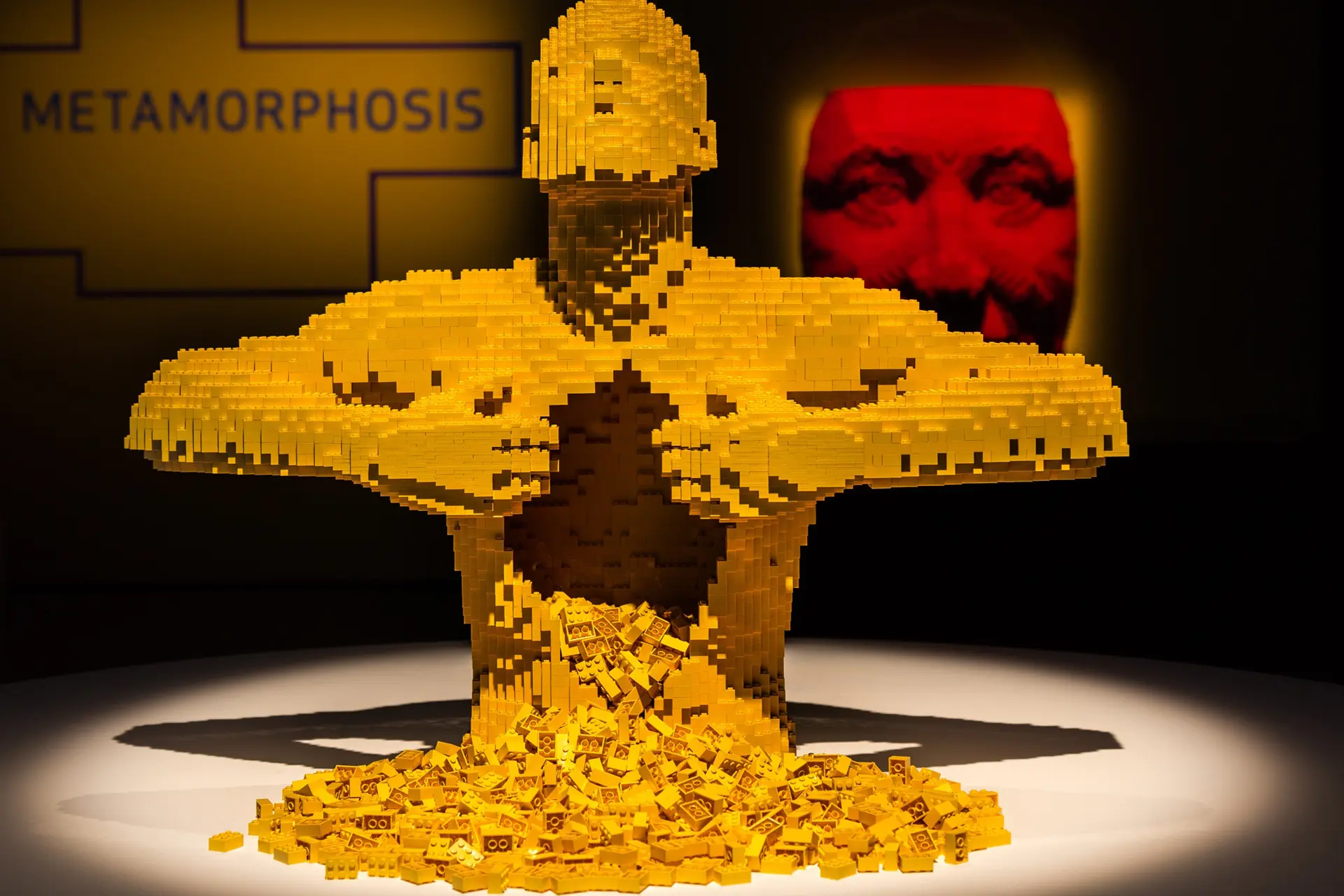 aotb yellow redhead