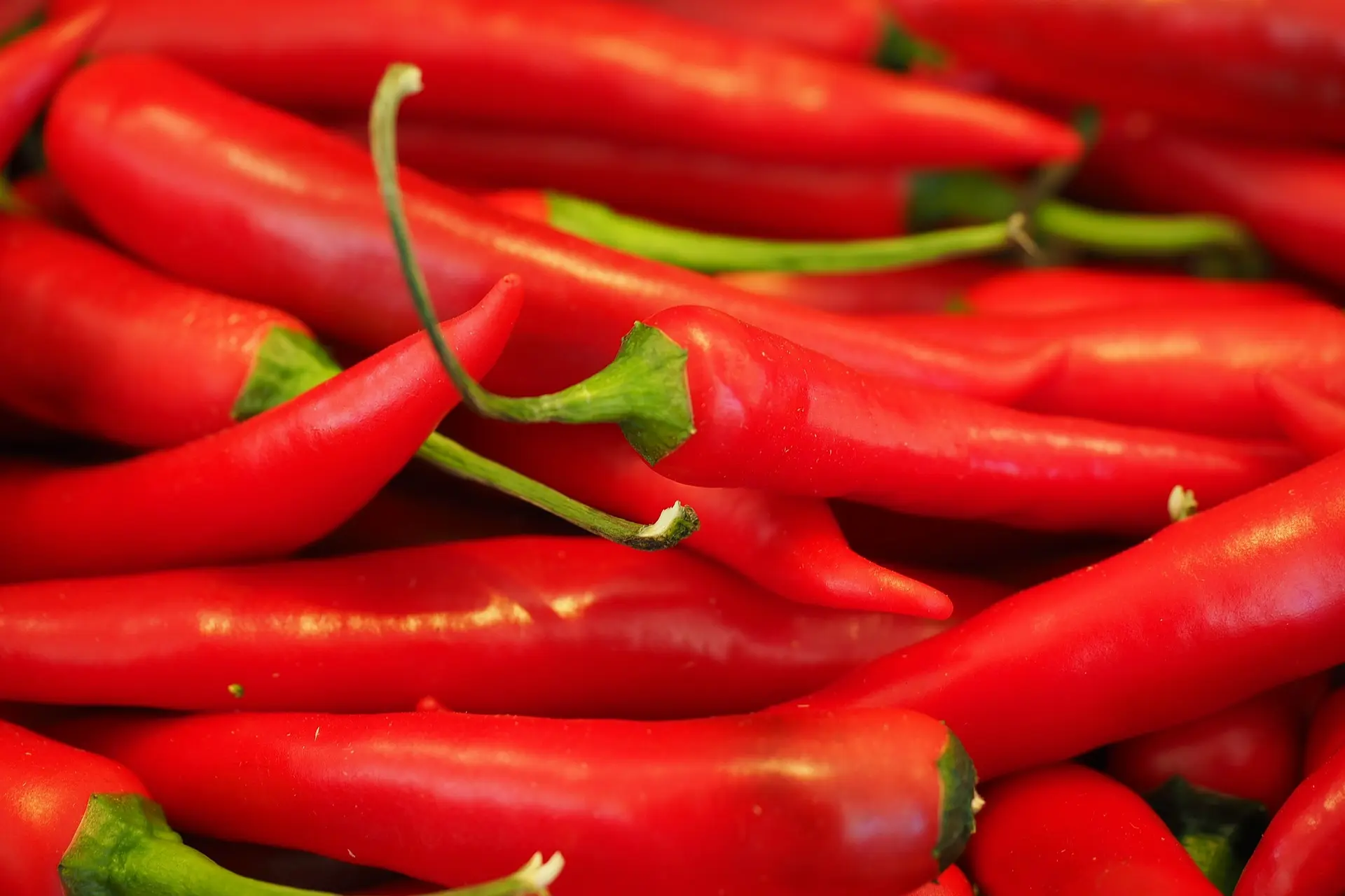 chili 499062 1920