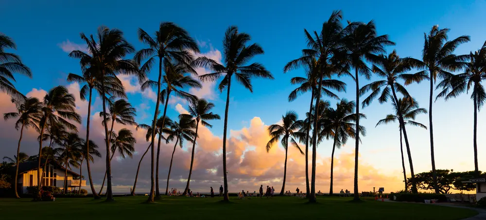 Het absurde bouwproject van Mark Zuckerberg op Hawaii