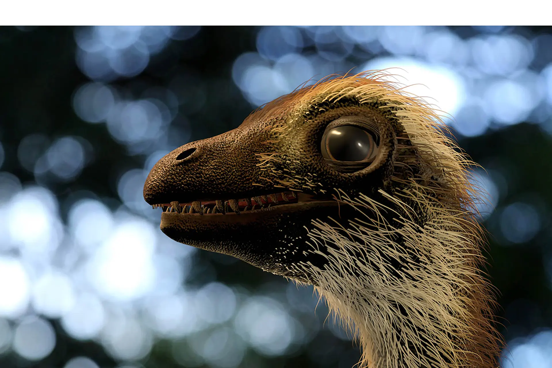 dino edit