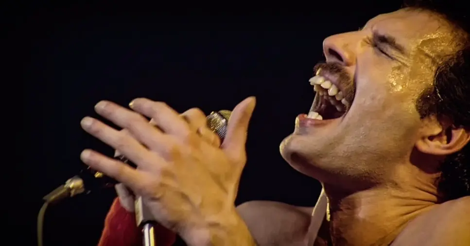 freddiedeath