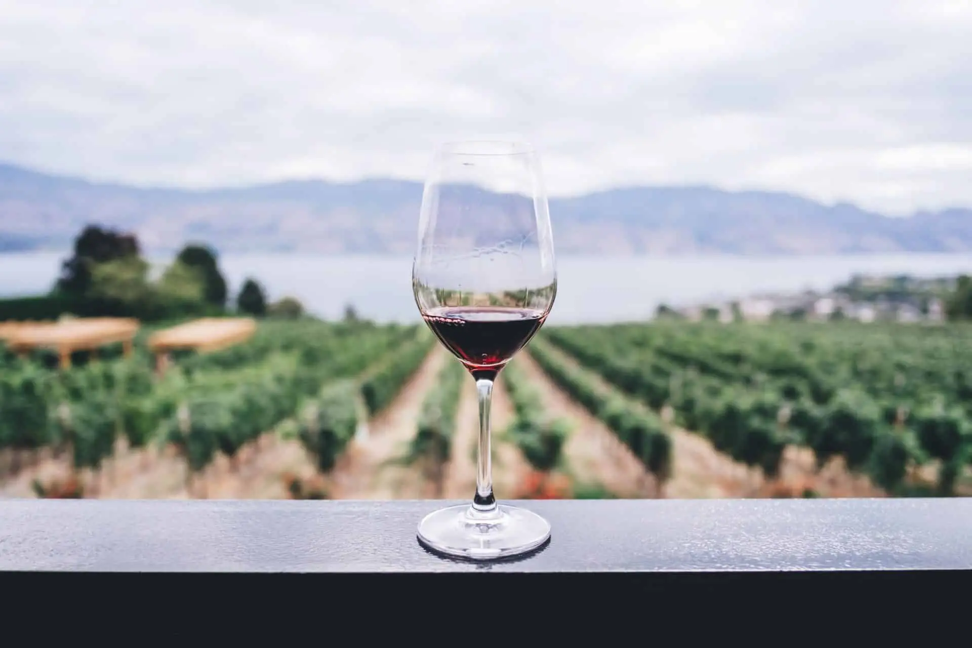 header wine