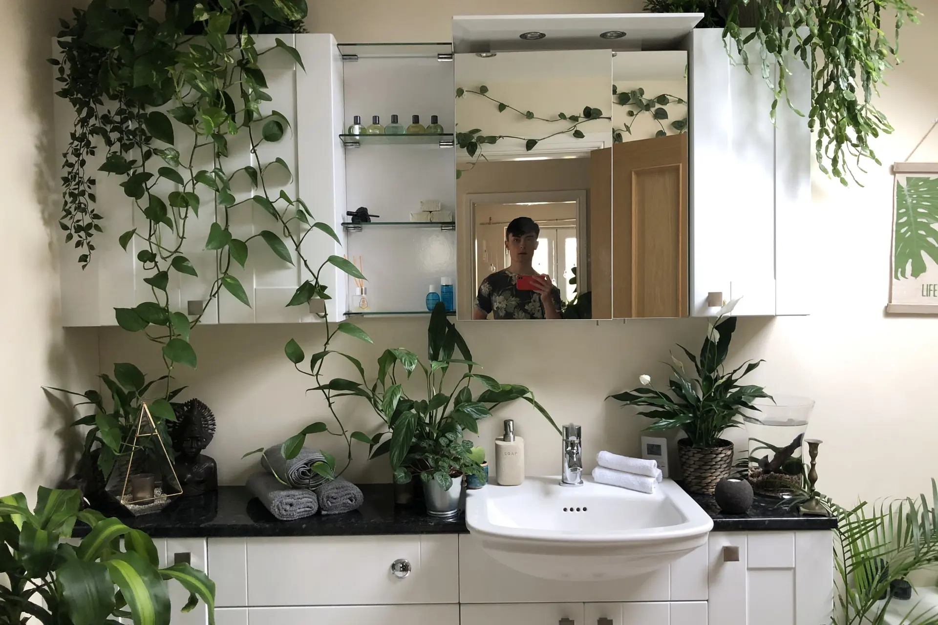 knm jungle boys 1400 houseplants 6