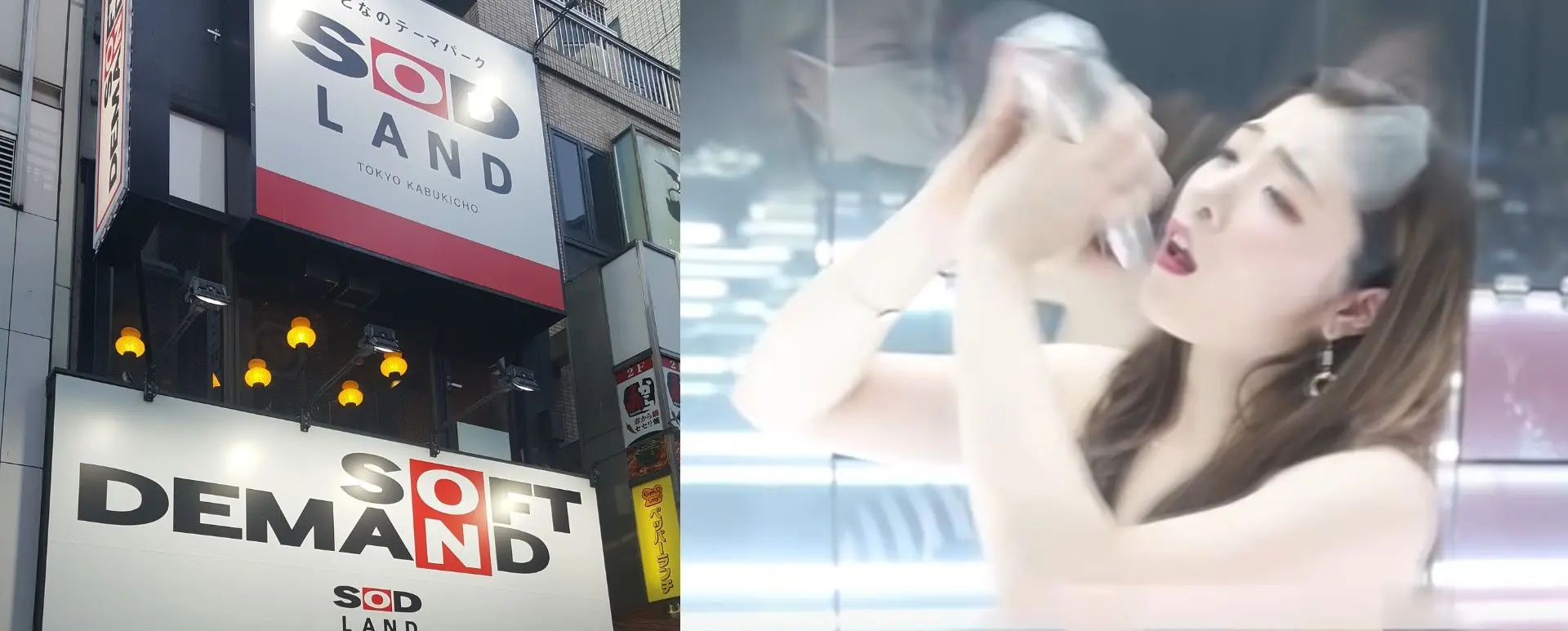 In Japan is het eerste 18+ pretpark geopend en het is vrij bizar