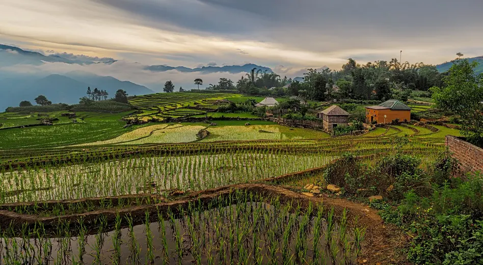 25 foto's die bewijzen dat je naar Vietnam moet