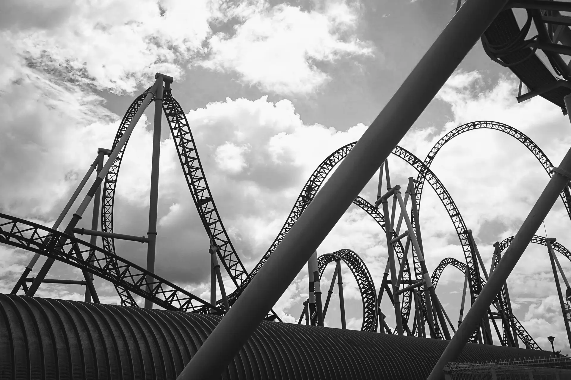 pexels 1343005