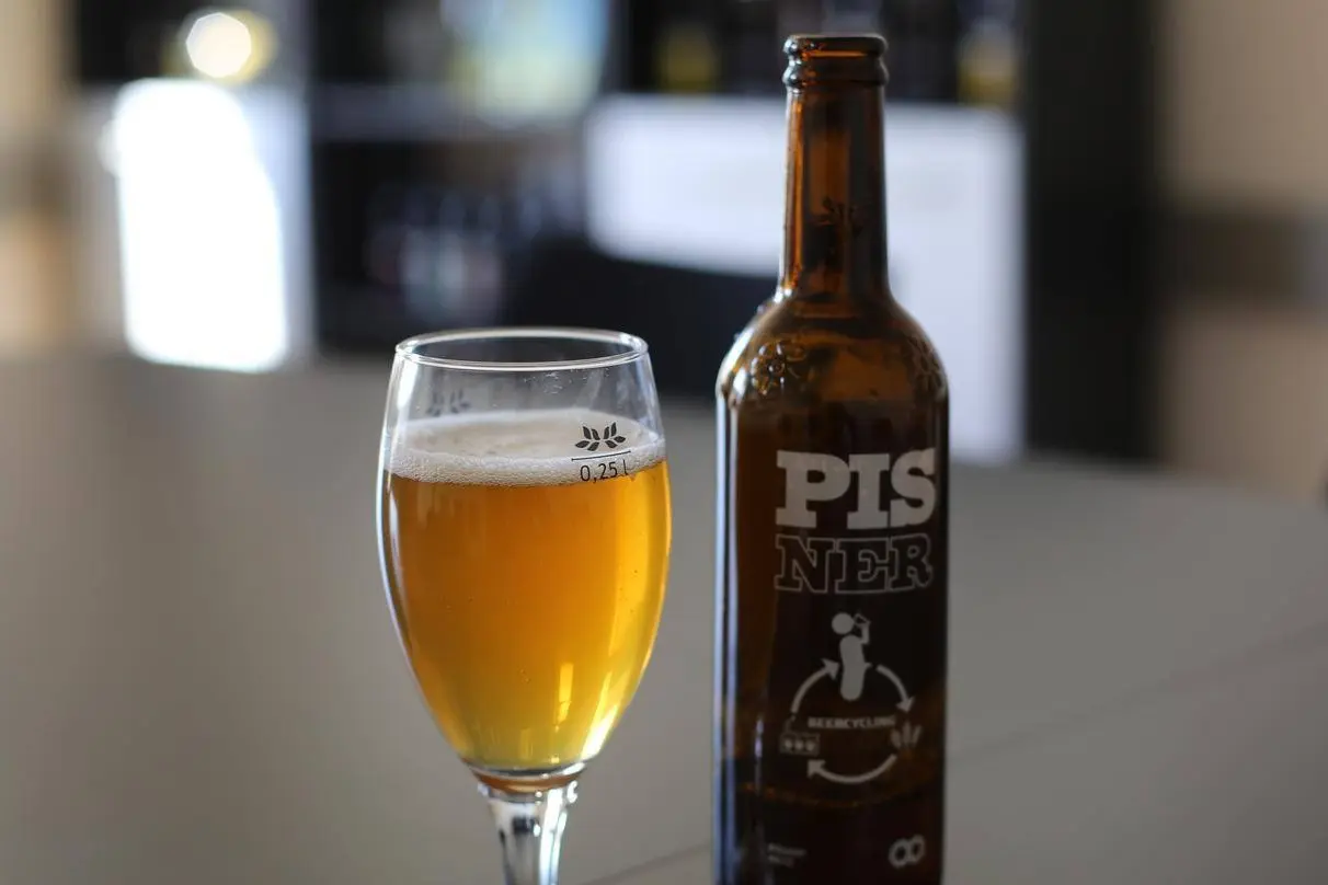 pisner urine beer