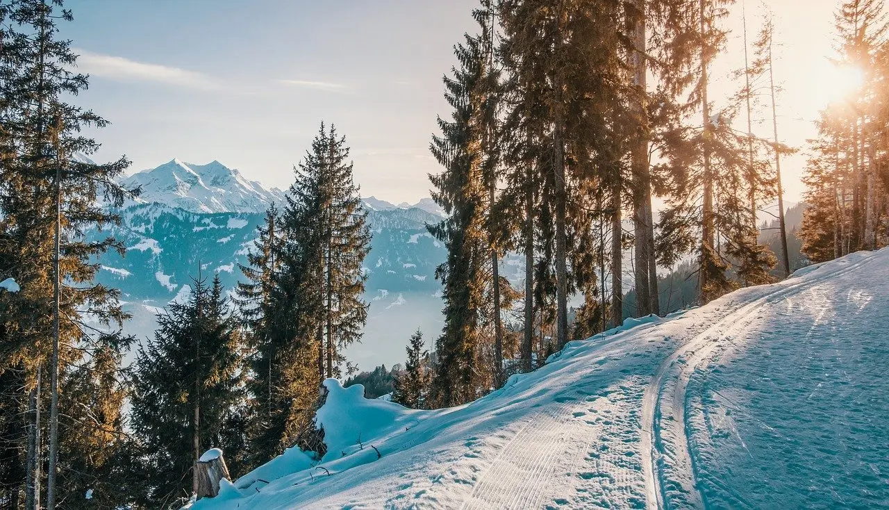 skis