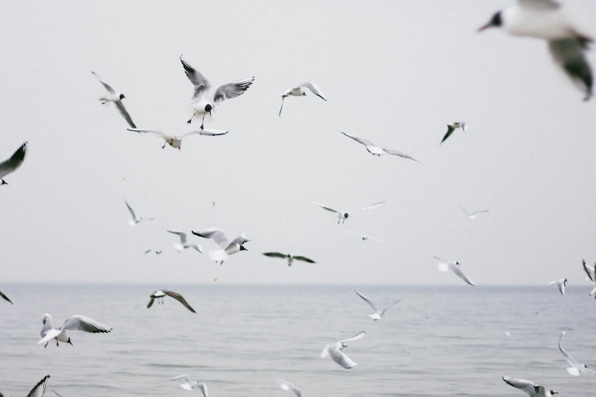 the bialons 5fkwowaowa4 unsplash