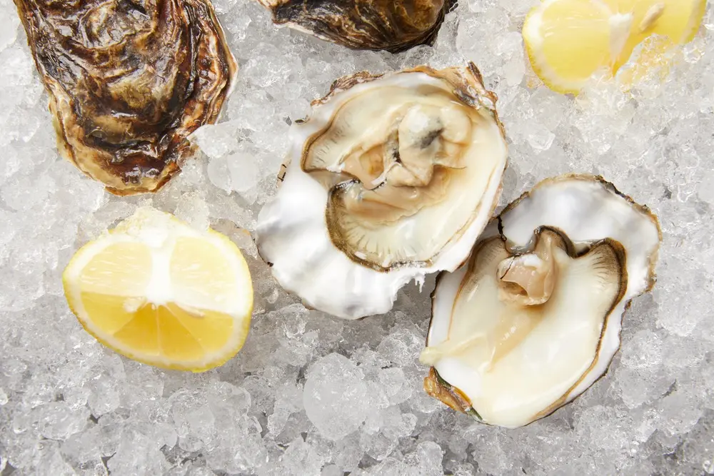 Chef onthult de waarheid over het eten van oesters
