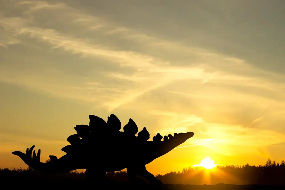 Stegosaurus skelet verkocht voor duizelingwekkend bedrag