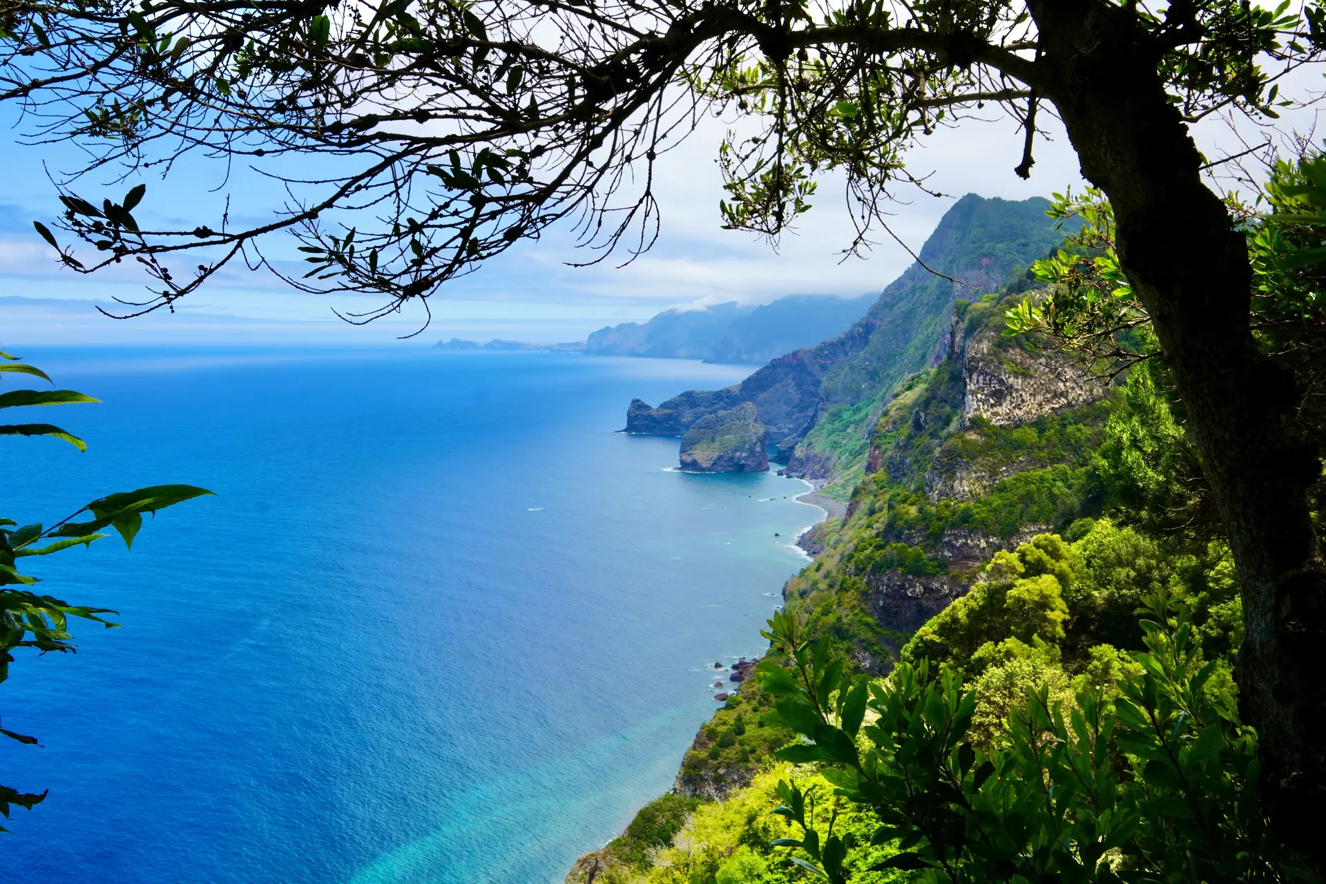 De hype rondom Madeira is real: groene droombestemming met fantastische uitzichten