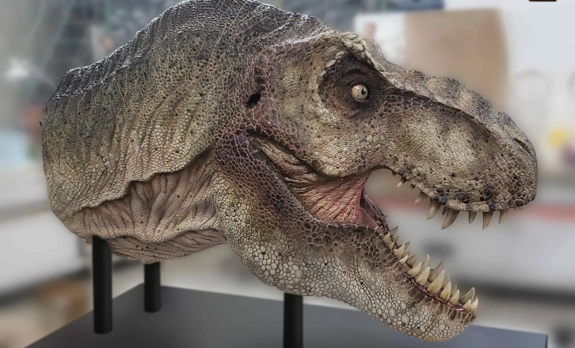 Voor 18.500 dollar ben jij de eigenaar van een levensecht hoofd van een T-Rex