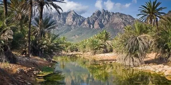 socotra island
