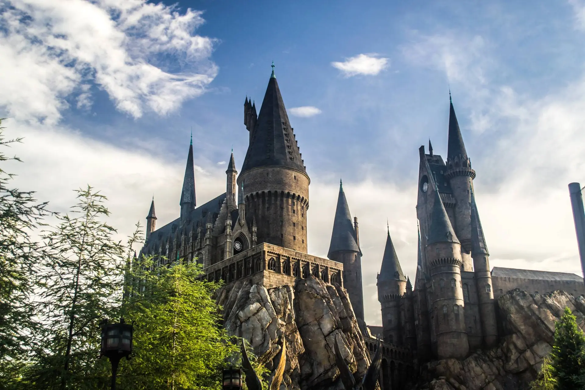 Dit zijn de castleden die de rollen in de Harry Potter series gaan vertolken