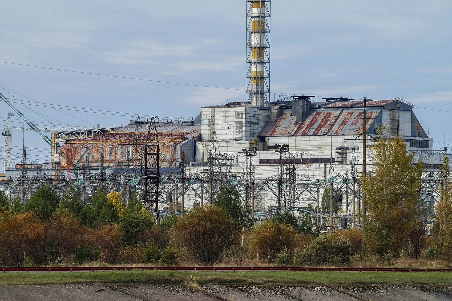 Leven in Tsjernobyl is op deze manier mogelijk
