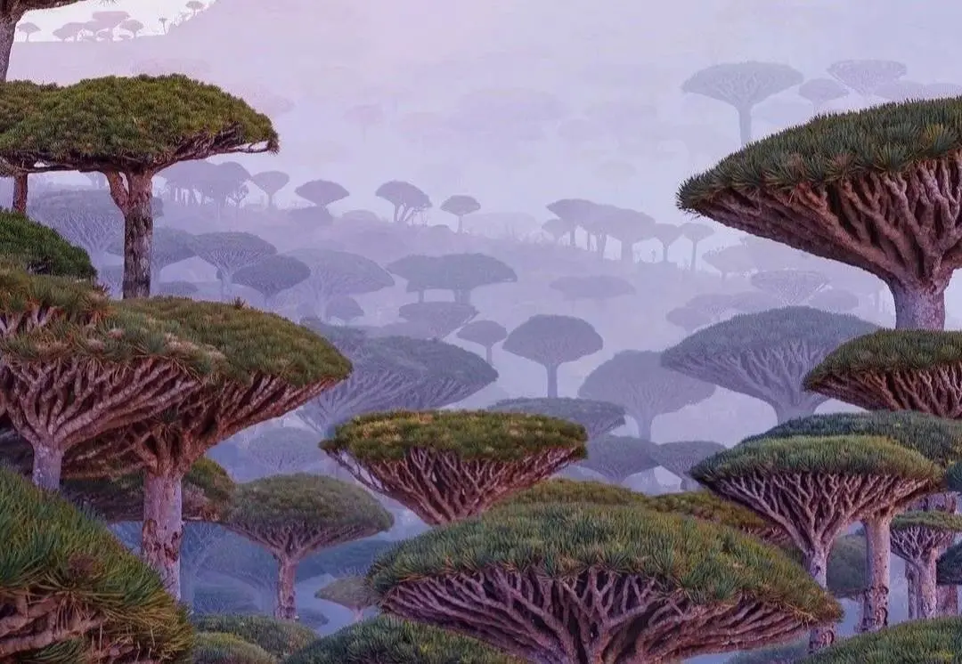Dit is het mooiste en meest unieke eiland van de wereld
