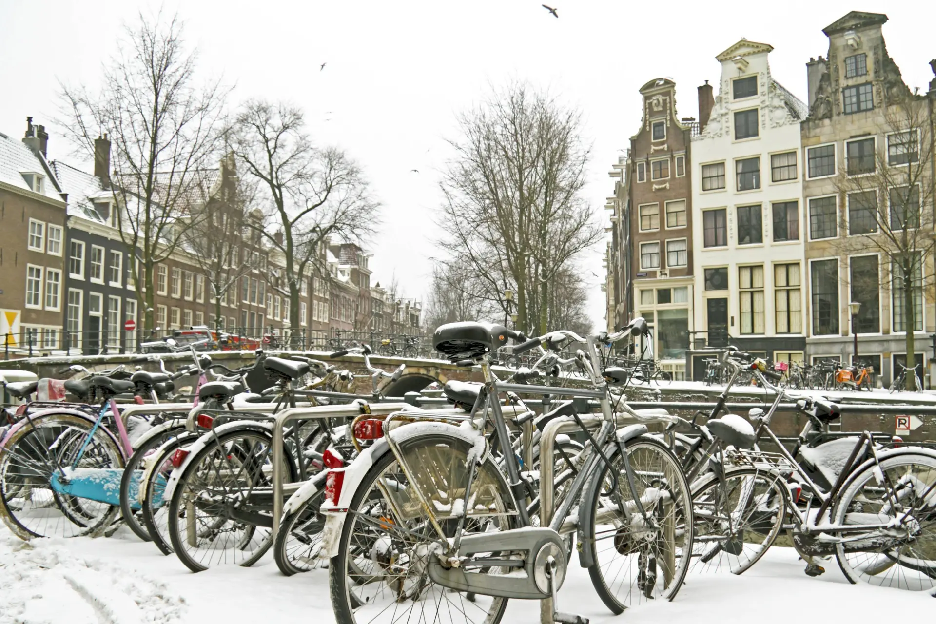 Miljoenen kilo's zout en kilometers file: dit is Nederland in de sneeuw