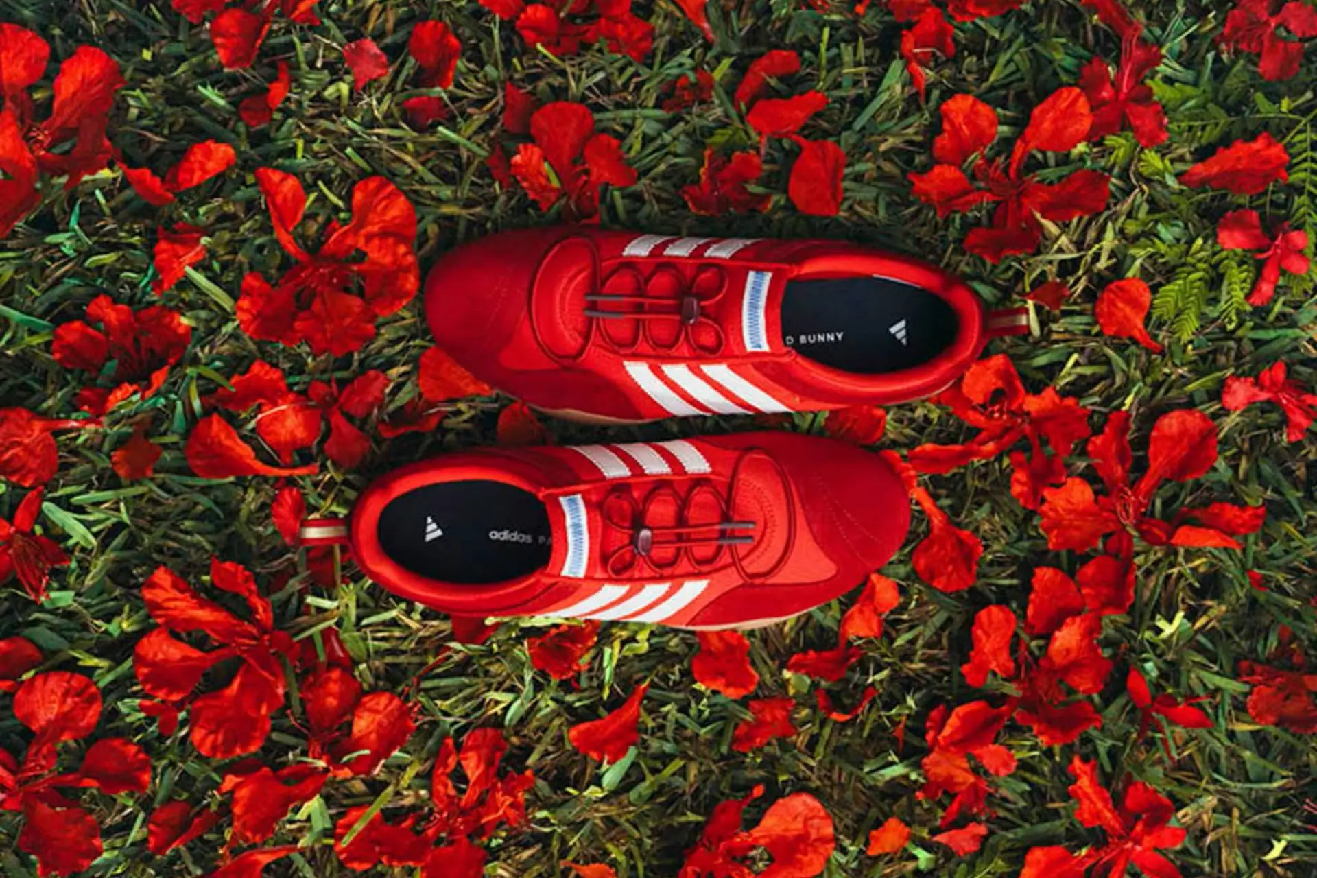 Bad Bunny en Adidas kleuren rood voor deze gloednieuwe samenwerking