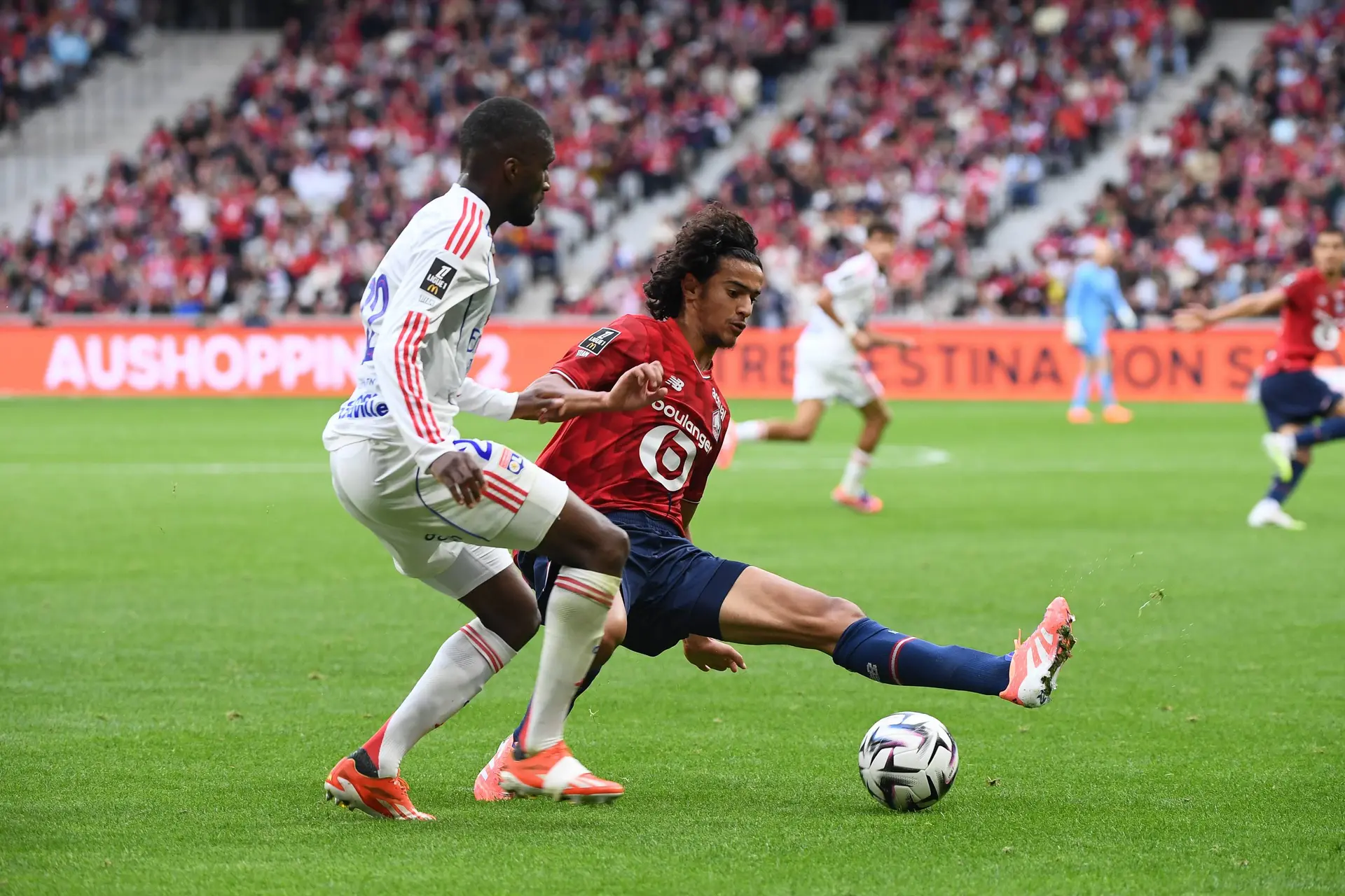 A Lyon, on ne comprend pas l’arbitrage