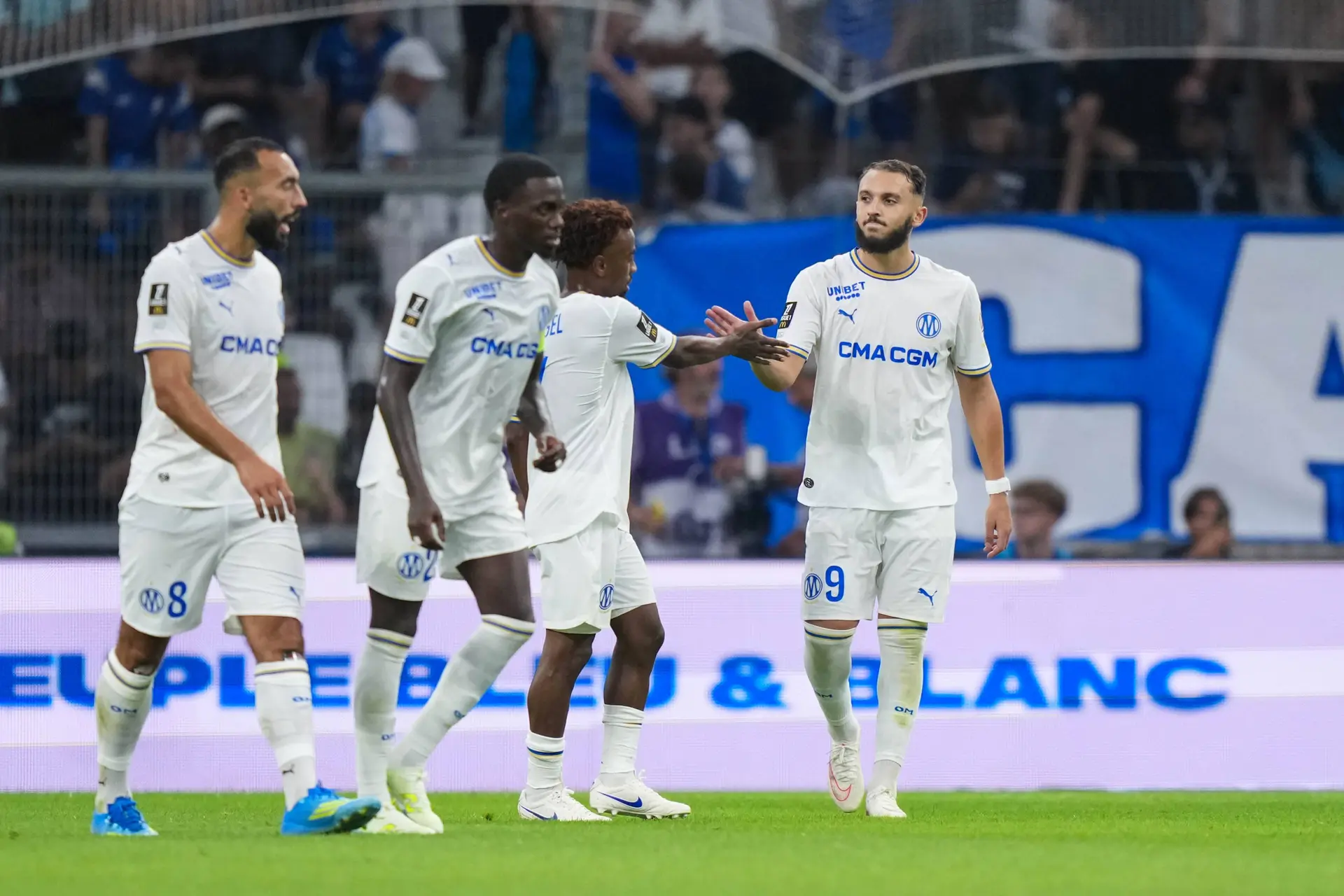 Om Mccourt Met 8 Titulaires En Vente